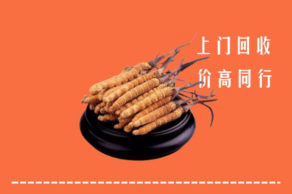 高价求购：二连浩特市回收散虫草