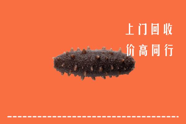 高价求购：二连浩特市回收海参