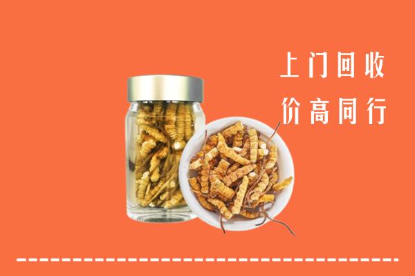 二连浩特市回收冬虫夏草