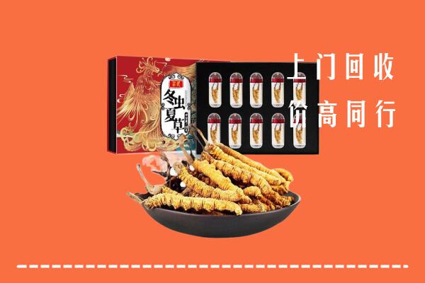 二连浩特市回收虫草